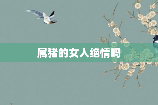 属猪的女人绝情吗