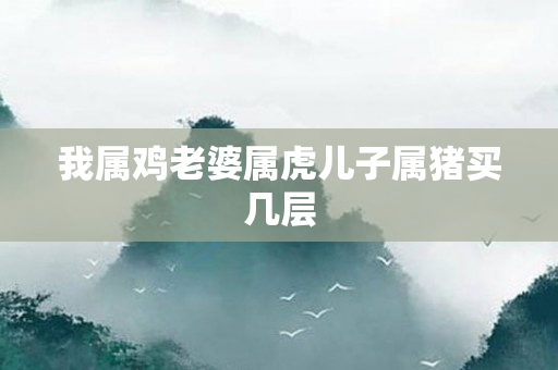 我属鸡老婆属虎儿子属猪买几层