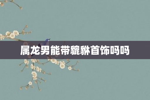属龙男能带貔貅首饰吗吗