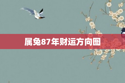 属兔87年财运方向图