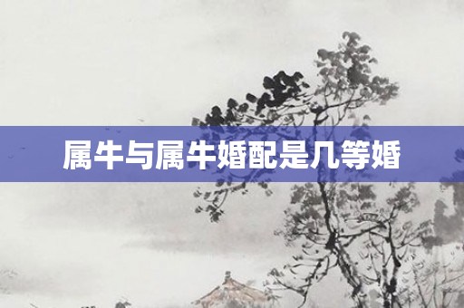 属牛与属牛婚配是几等婚