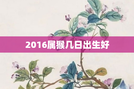 2016属猴几日出生好