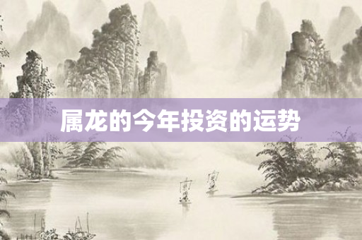 属龙的今年投资的运势
