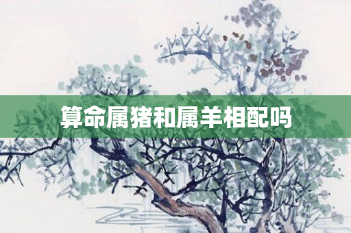 算命属猪和属羊相配吗