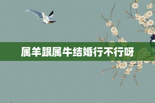属羊跟属牛结婚行不行呀