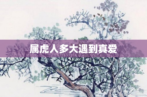 属虎人多大遇到真爱