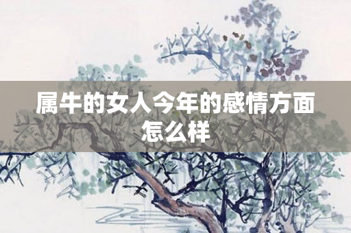 属牛的女人今年的感情方面怎么样