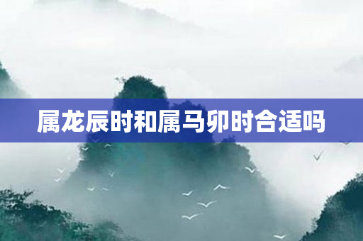属龙辰时和属马卯时合适吗