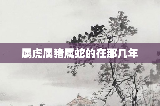 属虎属猪属蛇的在那几年
