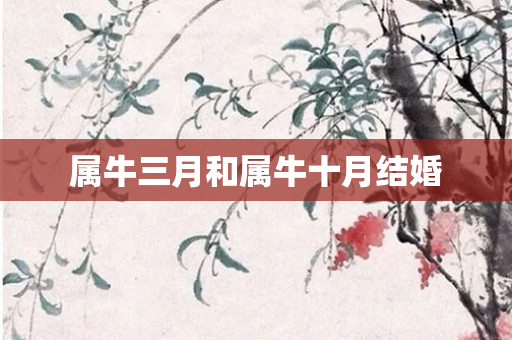 属牛三月和属牛十月结婚