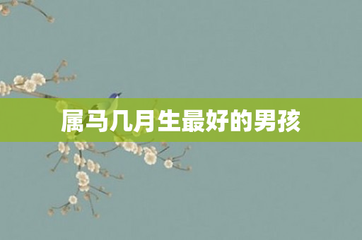 属马几月生更好的男孩