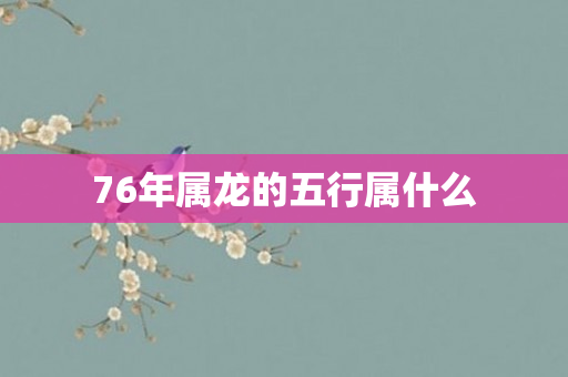 76年属龙的五行属什么