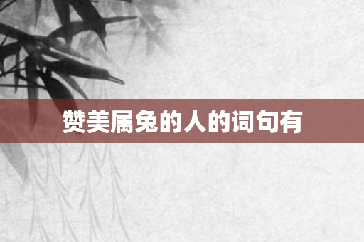 赞美属兔的人的词句有