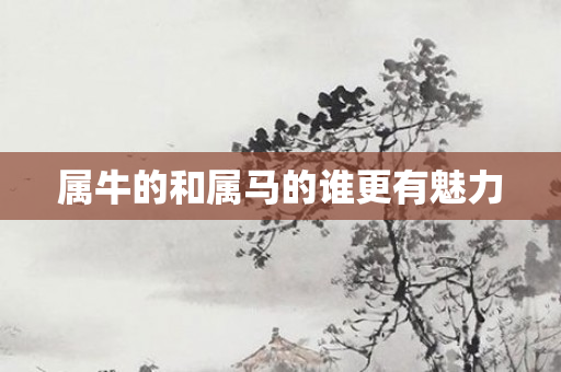 属牛的和属马的谁更有魅力