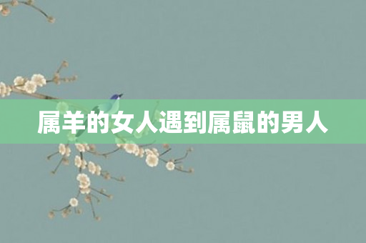 属羊的女人遇到属鼠的男人