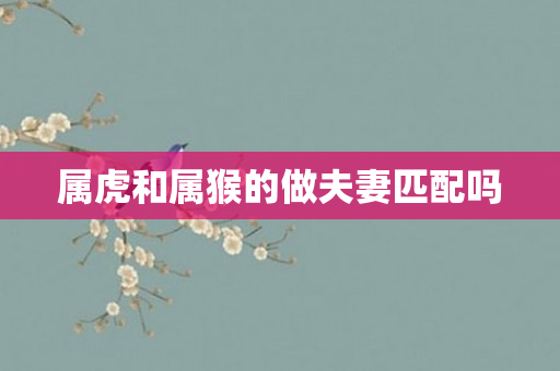 属虎和属猴的做夫妻匹配吗