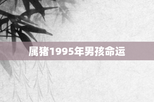 属猪1995年男孩命运