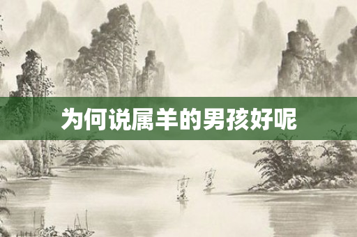 为何说属羊的男孩好呢