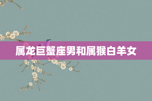 属龙巨蟹座男和属猴白羊女