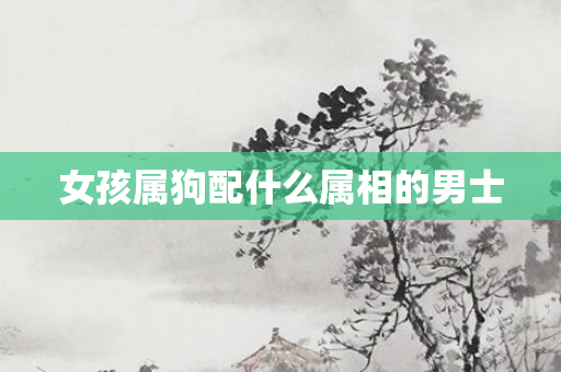 女孩属狗配什么属相的男士