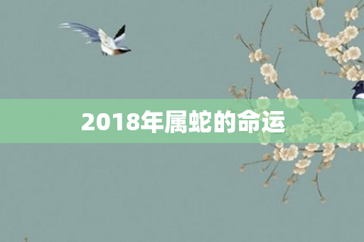 2018年属蛇的命运
