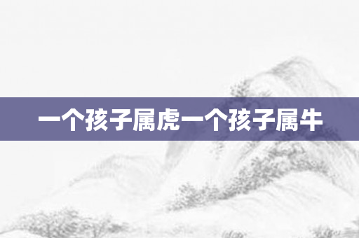 一个孩子属虎一个孩子属牛