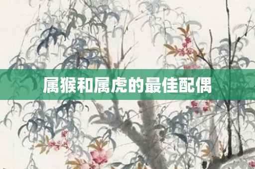 属猴和属虎的更佳配偶
