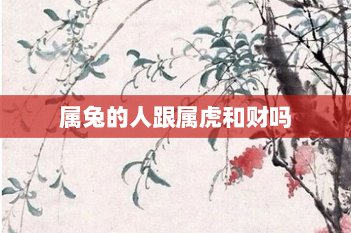 属兔的人跟属虎和财吗