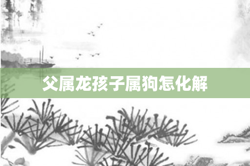 父属龙孩子属狗怎化解
