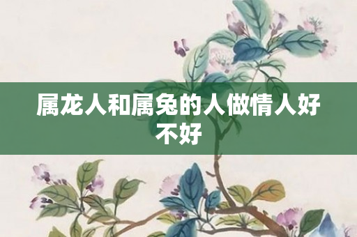 属龙人和属兔的人做情人好不好
