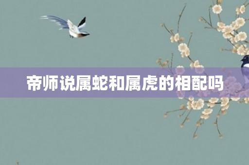 帝师说属蛇和属虎的相配吗