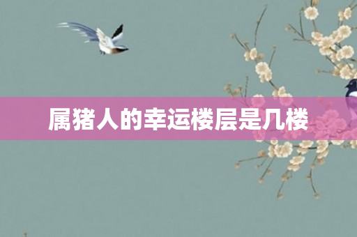 属猪人的幸运楼层是几楼