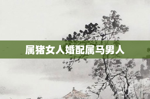 属猪女人婚配属马男人