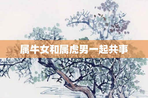 属牛女和属虎男一起共事