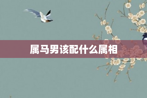 属马男该配什么属相