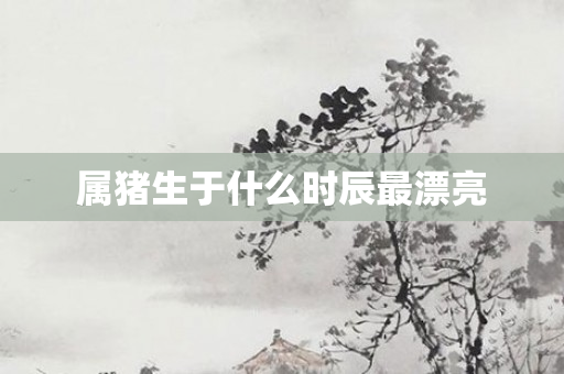 属猪生于什么时辰最漂亮