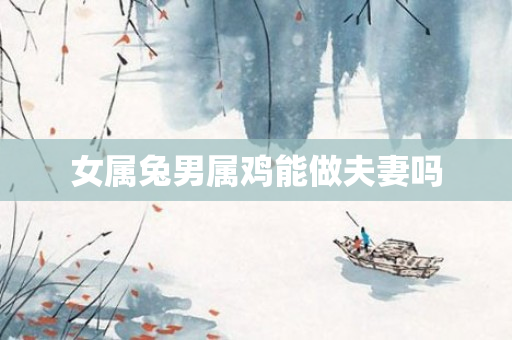 女属兔男属鸡能做夫妻吗