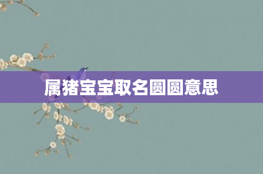 属猪宝宝取名圆圆意思