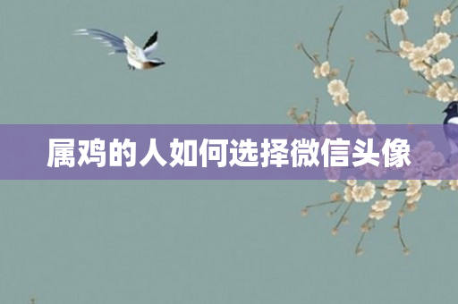 属鸡的人如何选择微信头像