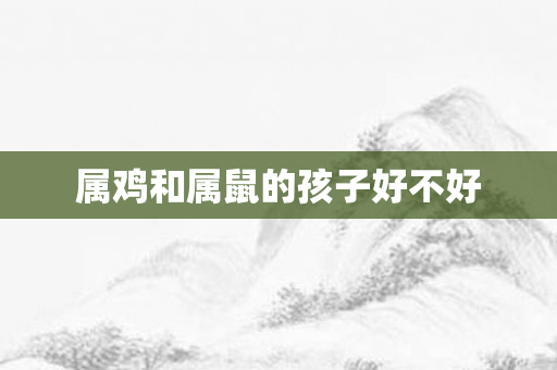 属鸡和属鼠的孩子好不好