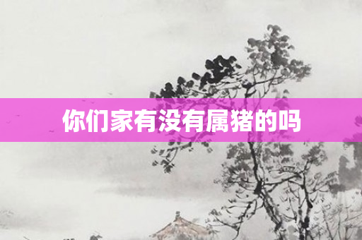 你们家有没有属猪的吗