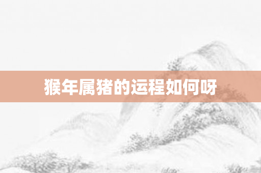 猴年属猪的运程如何呀