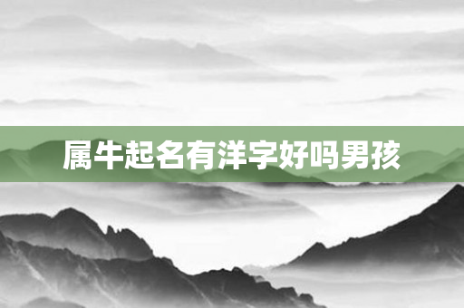 属牛起名有洋字好吗男孩