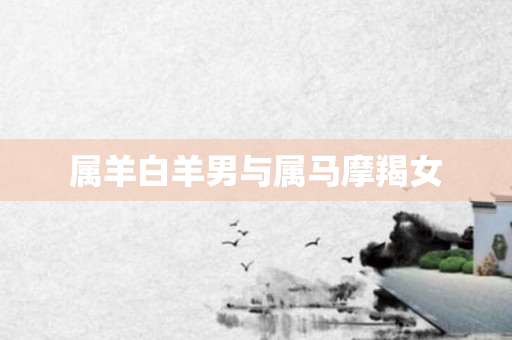 属羊白羊男与属马摩羯女