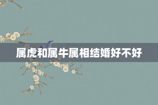 属虎和属牛属相结婚好不好