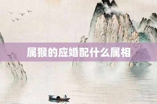 属猴的应婚配什么属相