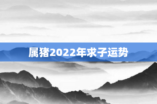 属猪2022年求子运势
