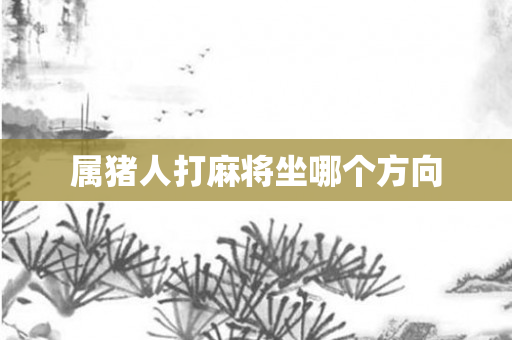 属猪人打麻将坐哪个方向
