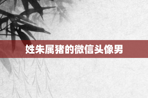 姓朱属猪的微信头像男
