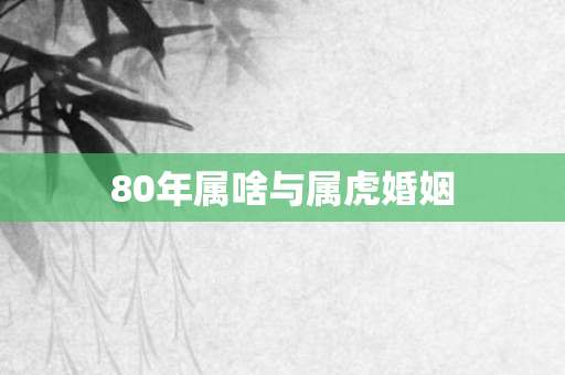 80年属啥与属虎婚姻